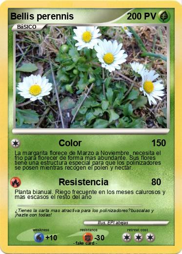 Pokemon Bellis perennis