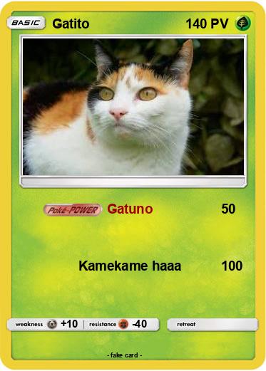 Pokemon Gatito