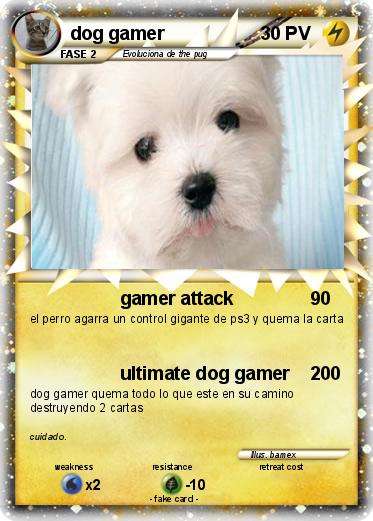 Pokemon dog gamer