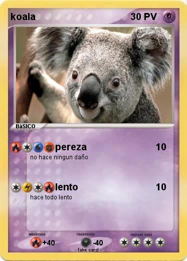 Pokemon koala