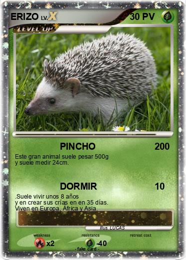 Pokemon ERIZO