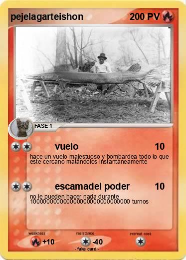 Pokemon pejelagarteishon