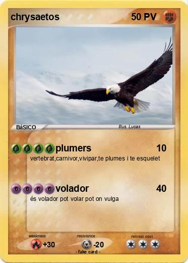 Pokemon chrysaetos