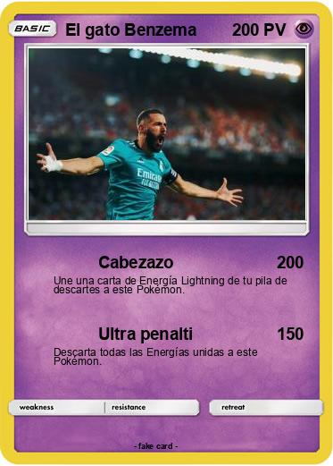 Pokemon El gato Benzema