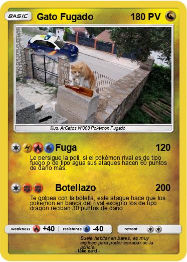 Pokemon Gato Fugado