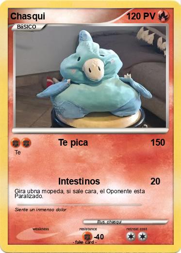 Pokemon Chasqui