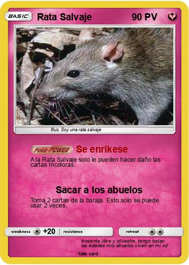 Pokemon Rata Salvaje