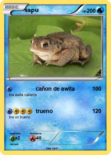 Pokemon sapu