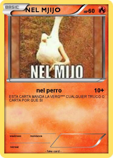 Pokemon NEL MJIJO