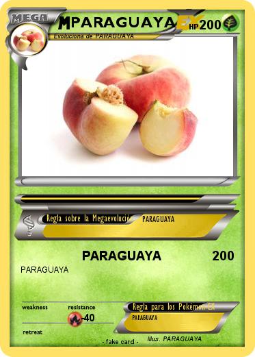 Pokemon PARAGUAYA