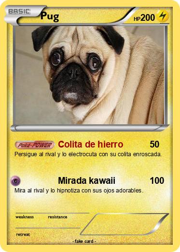 Pokemon Pug