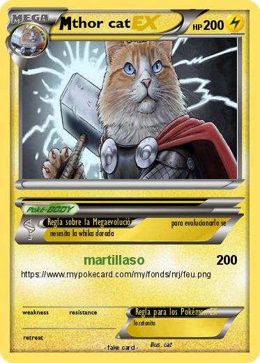 Pokemon thor cat