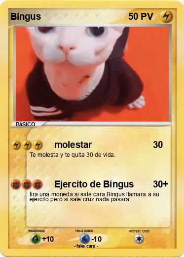 Pokemon Bingus