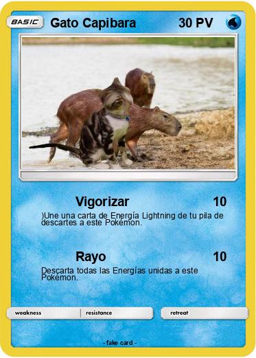 Pokemon Gato Capibara