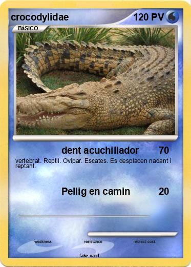 Pokemon crocodylidae