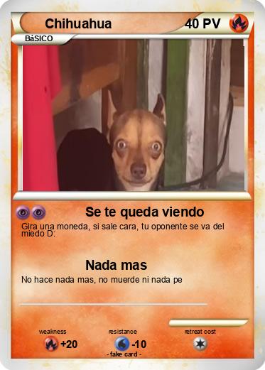 Pokemon Chihuahua