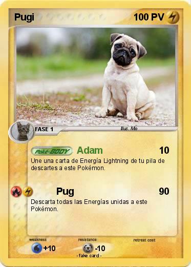 Pokemon Pugi