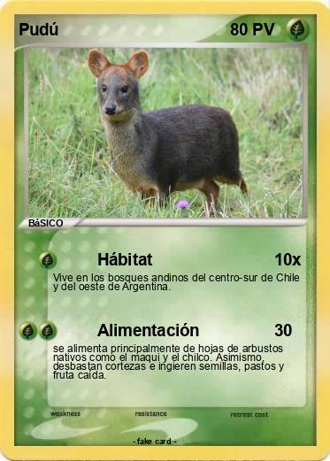 Pokemon Pudú