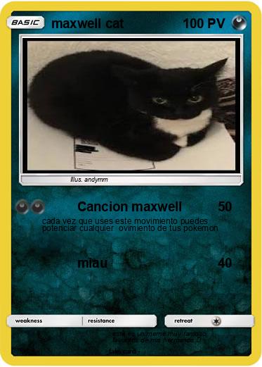 Pokemon maxwell cat