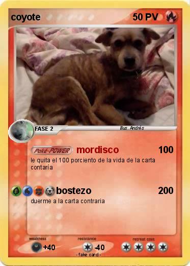 Pokemon coyote