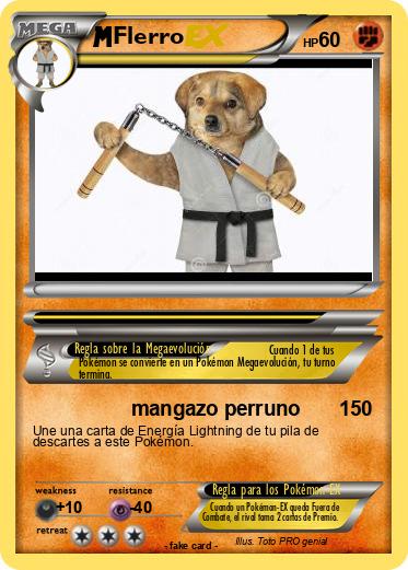 Pokemon Flerro