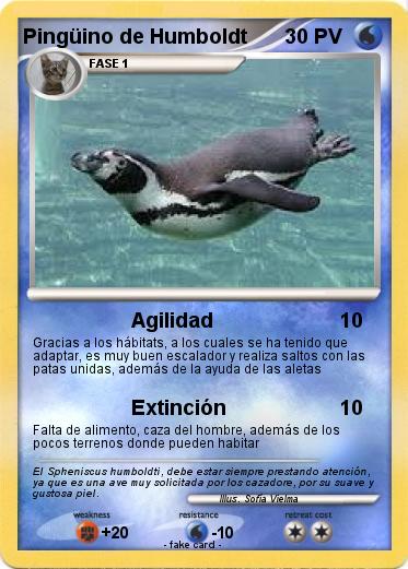 Pokemon Pingüino de Humboldt