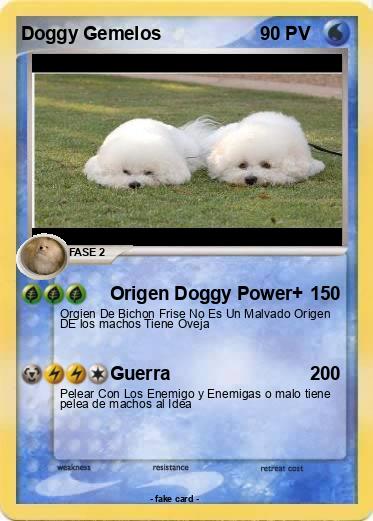 Pokemon Doggy Gemelos