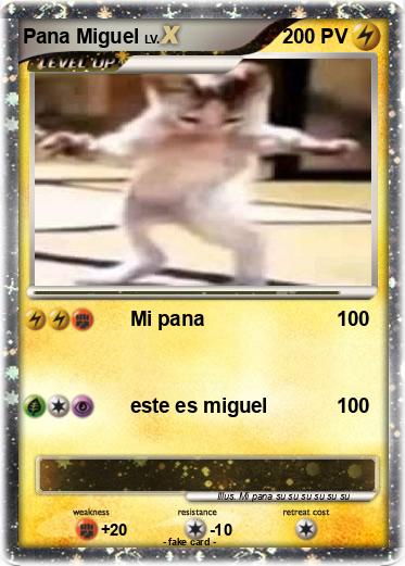 Pokemon Pana Miguel