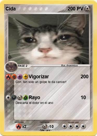 Pokemon Cida