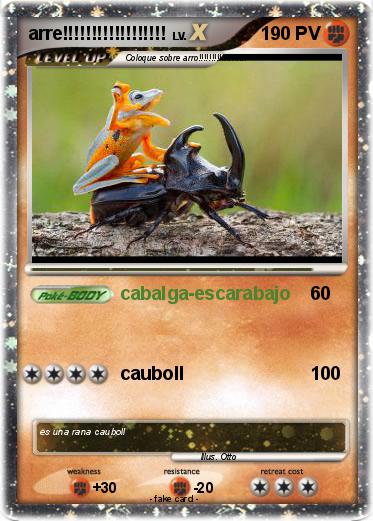 Pokemon arre!!!!!!!!!!!!!!!!!!