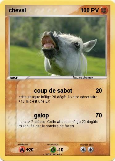 Pokemon cheval