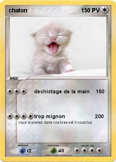 Pokemon chaton
