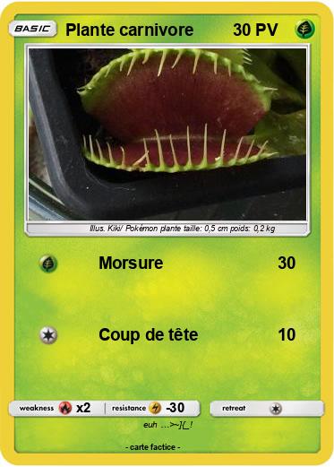 Pokemon Plante carnivore