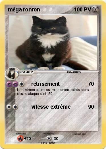Pokemon méga ronron
