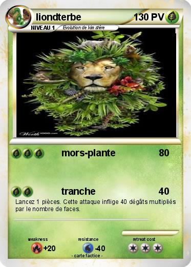 Pokemon liondterbe
