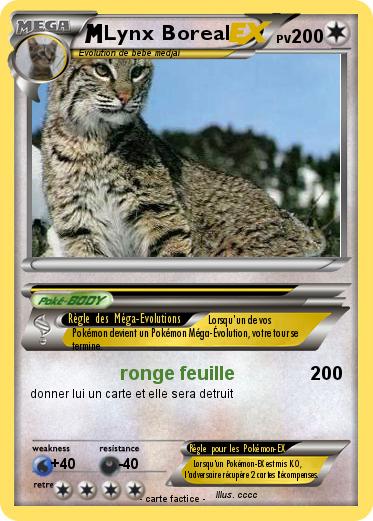 Pokemon Lynx Boreal