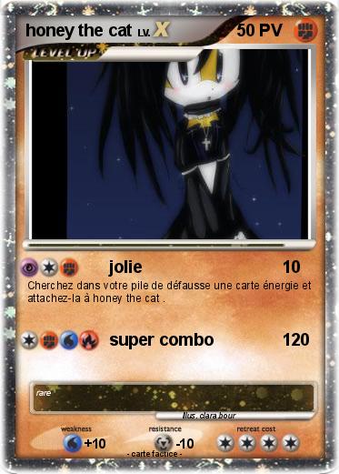 Pokemon honey the cat