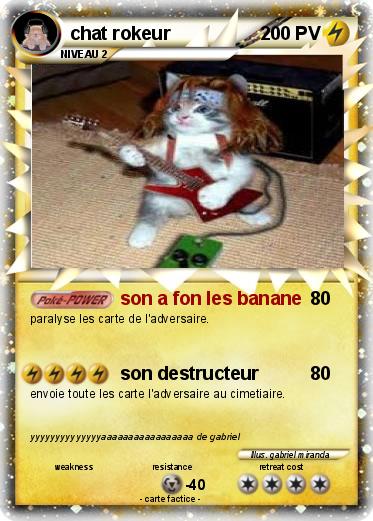 Pokemon chat rokeur