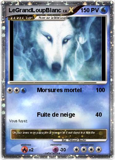 Pokemon LeGrandLoupBlanc