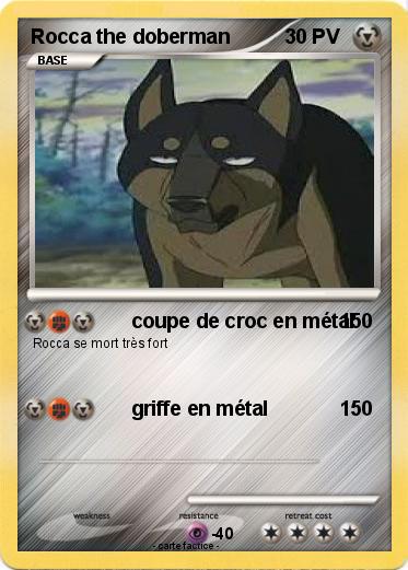 Pokemon Rocca the doberman