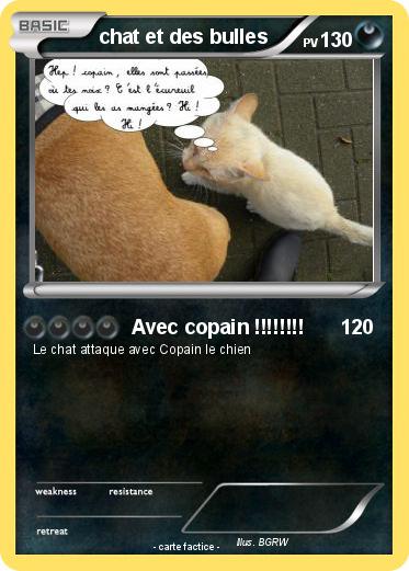 Pokemon chat et des bulles