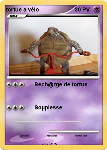 Pokemon tortue a vélo