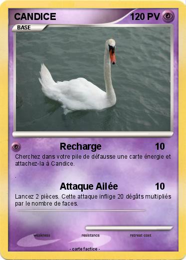 Pokemon CANDICE