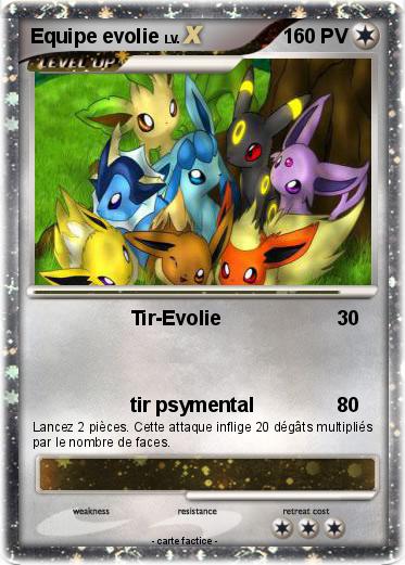 Pokemon Equipe evolie