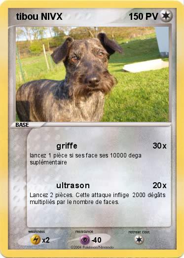 Pokemon  tibou NIVX