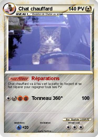 Pokemon Chat chauffard