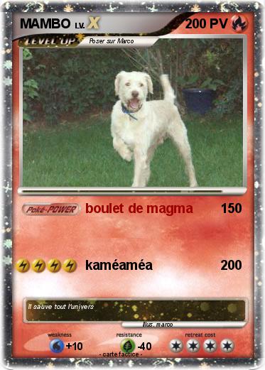 Pokemon MAMBO
