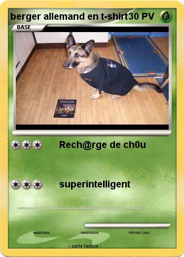 Pokemon berger allemand en t-shirt
