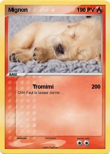 Pokemon Mignon