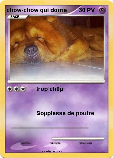 Pokemon chow-chow qui dorne
